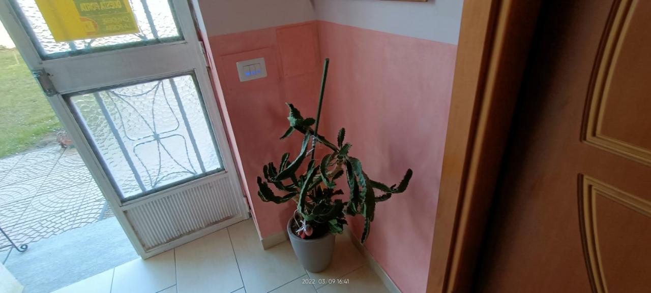 La Magnolia B&B Gassino Torinese Dış mekan fotoğraf