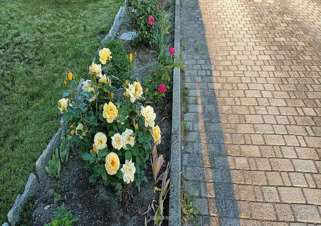 La Magnolia B&B Gassino Torinese Dış mekan fotoğraf