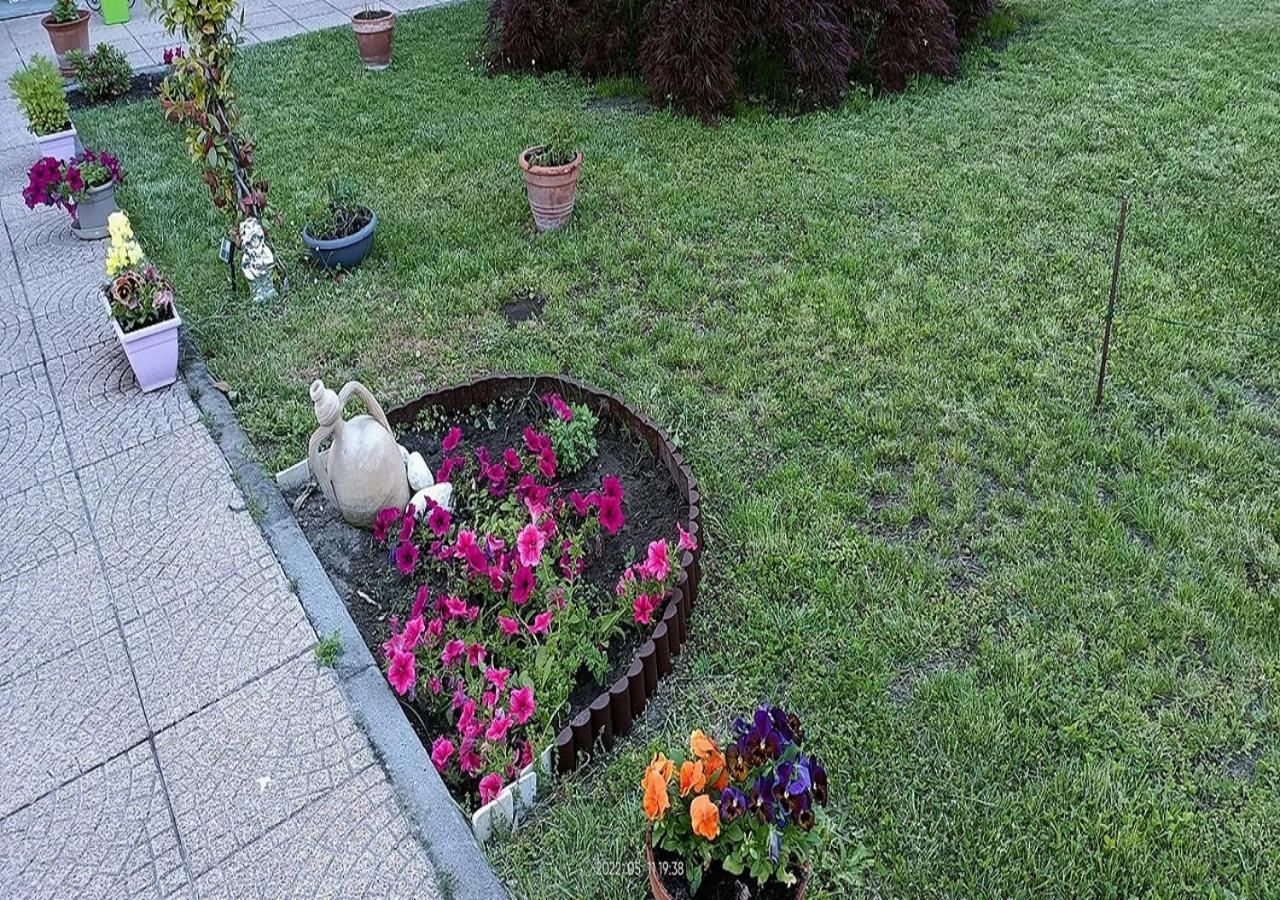La Magnolia B&B Gassino Torinese Dış mekan fotoğraf